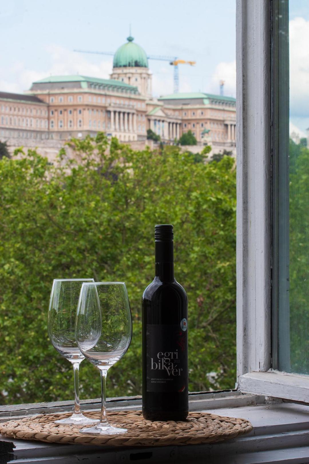 Grand Danube Apartment